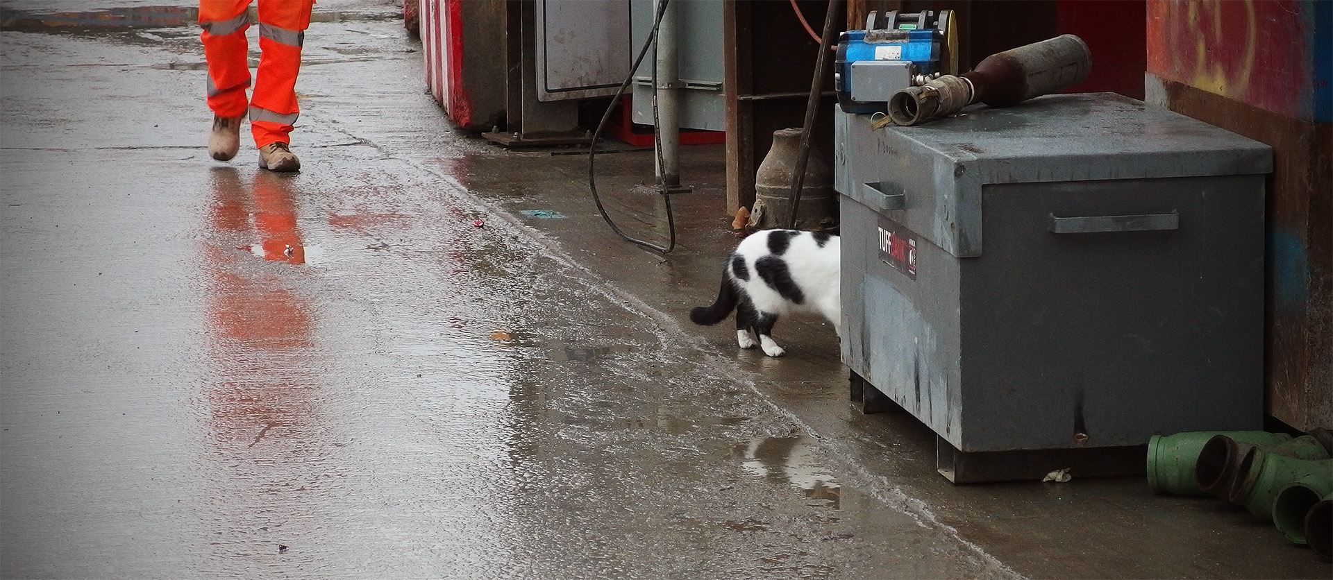 A black and white cat dashes behind some construction equipment